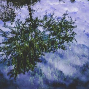 Weston Pulse Smartphone Variant 416