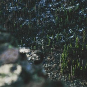 Aurelia Comfort Chair Variant 417