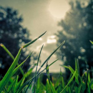 Velocore Adjustable Dumbbell Set Variant 417