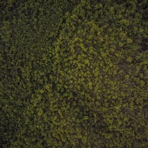 Aurelia Smart Fitness Watch Variant 42