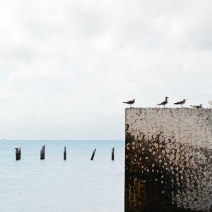 Velocore Pro Laptop 16" Variant 422