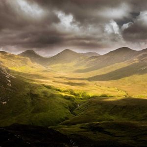 Aurelia Comfort Chair Variant 425