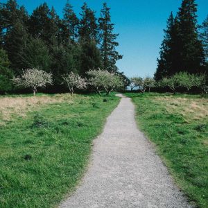 Northpeak Foam Roller Set Variant 426