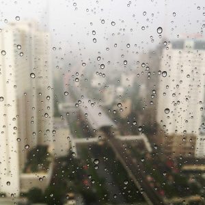 Northpeak Support Chair Variant 427