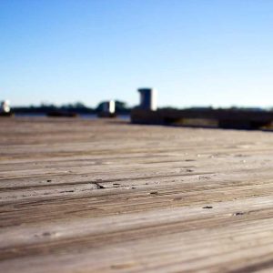 Northpeak Studio Headphones Variant 428