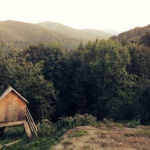 Northpeak Foam Roller Set Variant 430