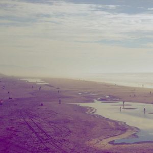 Weston Resistance Kit Variant 433