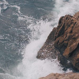 Velocore Adjustable Dumbbell Set Variant 435