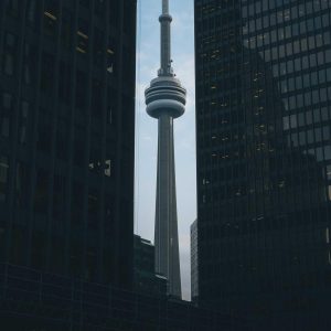 Weston Pulse Smartphone Variant 438