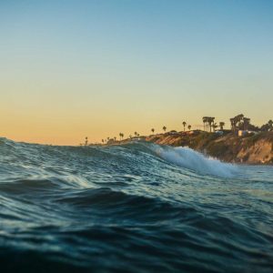 Weston Resistance Kit Variant 440