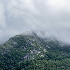 Weston Standing Desk Variant 45