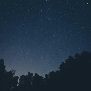 Velocore Desk Lamp Variant 445