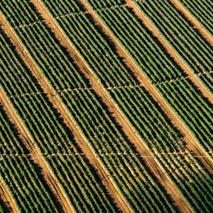 Velocore Adjustable Dumbbell Set Variant 46