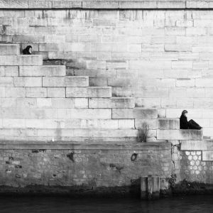 Velocore Wireless Earbuds Variant 460