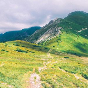 Northpeak Foam Roller Set Variant 46