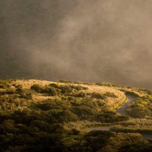 Northpeak Support Chair Variant 461