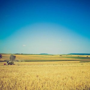 Northpeak Studio Headphones Variant 466