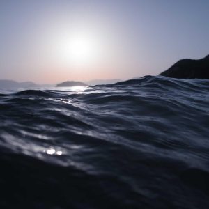 Aurelia One Smartphone Variant 467