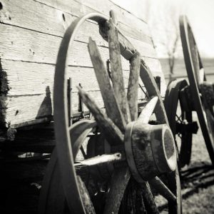 Aurelia Comfort Chair Variant 472