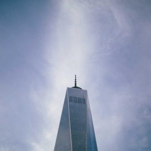 Weston Pulse Smartphone Variant 48