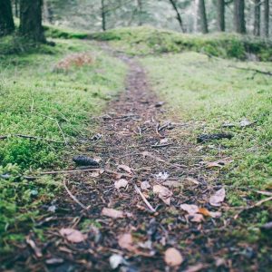 Northpeak Training Tracker Variant 480