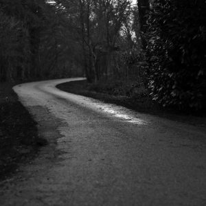 Aurelia Recovery Massage Gun Variant 483