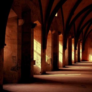 Aurelia Smart Fitness Watch Variant 486