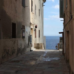 Weston Pulse Smartphone Variant 490