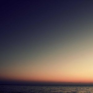 Aurelia Ergonomic Desk Pro Variant 491