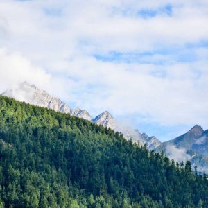 Northpeak Foam Roller Set Variant 492