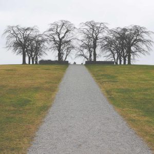 Northpeak Studio Headphones Variant 494