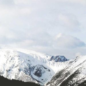 Northpeak Training Tracker Variant 497