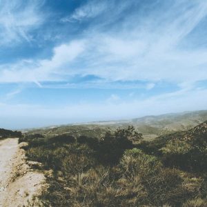 Aurelia One Smartphone Variant 498