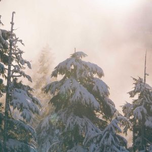 Weston Resistance Kit Variant 500