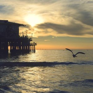 Weston Ambient Light Bar Variant 509