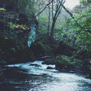 Velocore Desk Lamp Variant 513