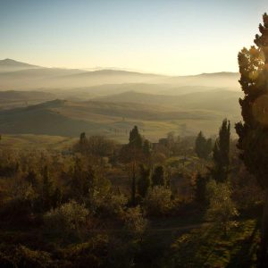 Northpeak Foam Roller Set Variant 513