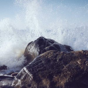 Aurelia Comfort Chair Variant 52