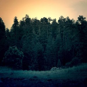 Northpeak Support Chair Variant 523