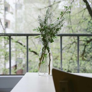 Northpeak Studio Headphones Variant 53