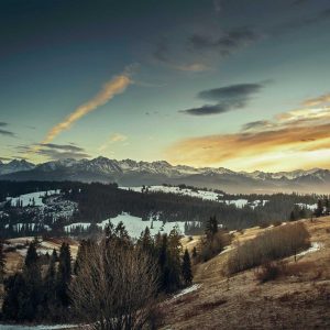 Velocore Wireless Earbuds Variant 526