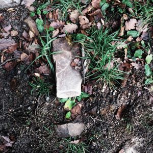 Velocore Pro Laptop 16" Variant 527