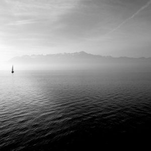 Aurelia Ergonomic Desk Pro Variant 533