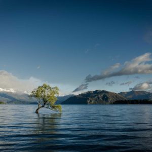 Weston Ambient Light Bar Variant 536