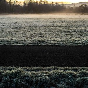 Aurelia Comfort Chair Variant 538