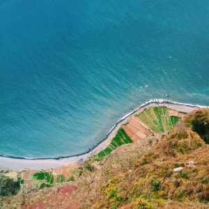 Aurelia Ergonomic Desk Pro Variant 544