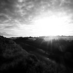 Velocore Wireless Earbuds Variant 547