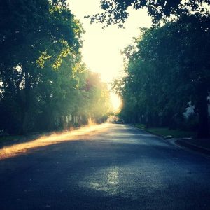 Weston Standing Desk Variant 548