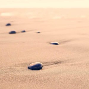 Weston Resistance Kit Variant 551