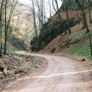 Aurelia Smart Fitness Watch Variant 554